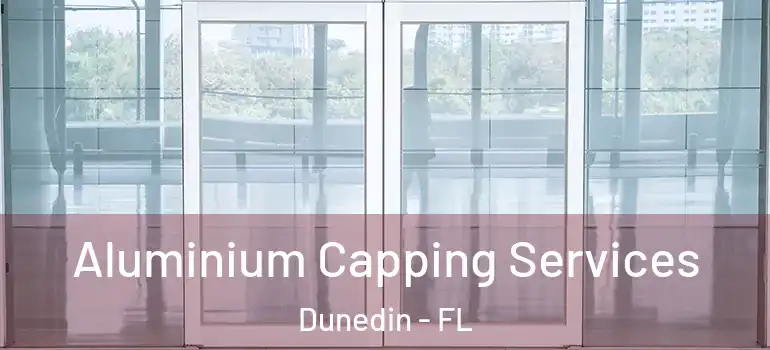  Aluminium Capping Services Dunedin - FL