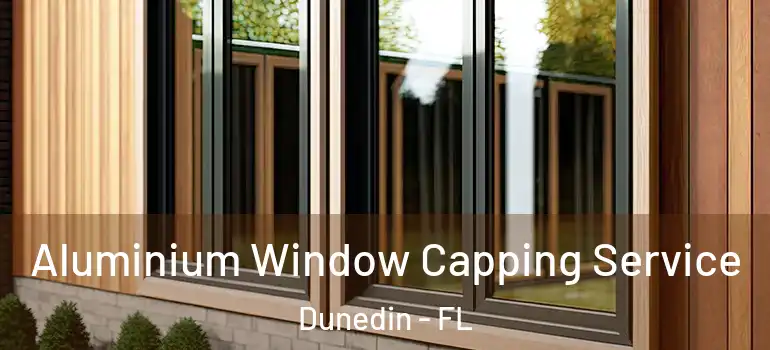  Aluminium Window Capping Service Dunedin - FL