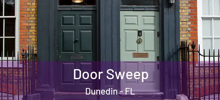 Door Sweep Dunedin - FL