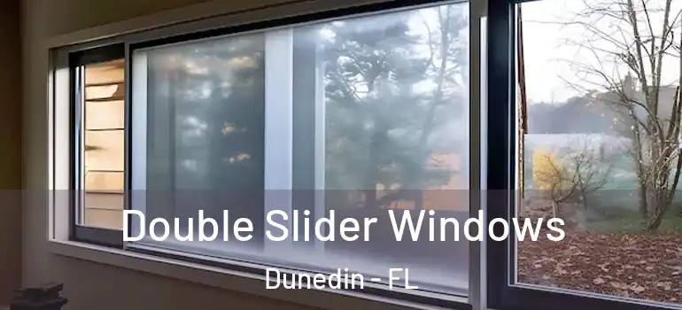 Double Slider Windows Dunedin - FL