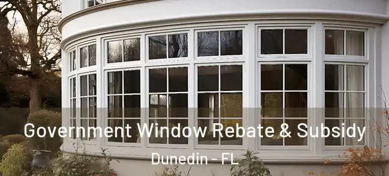  Government Window Rebate & Subsidy Dunedin - FL