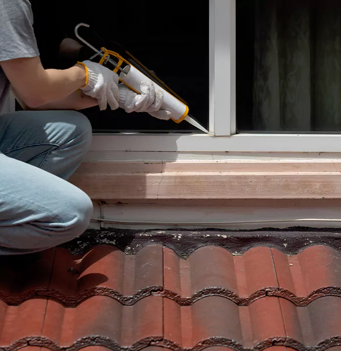 Roof Window Services in Dunedin, Florida