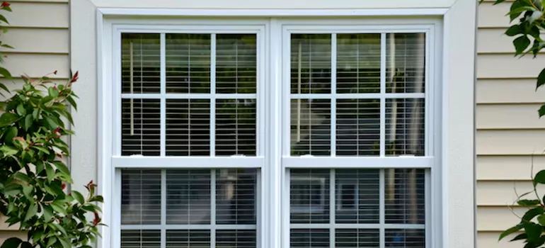Custom Double Hung Windows in Dunedin, FL