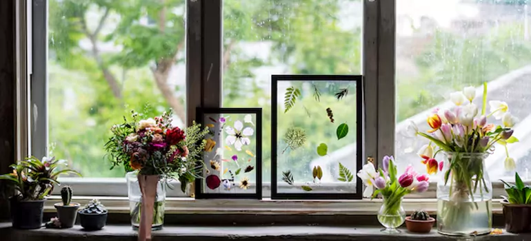 Professional Garden Window Repair in Dunedin, FL