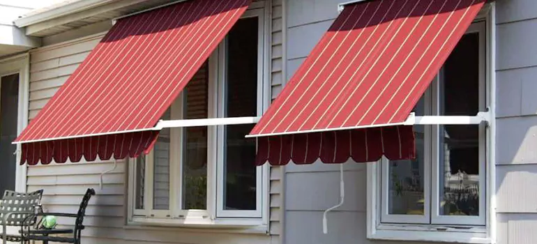 Government Rebate Window Replacement in Dunedin, FL