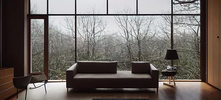 Casement Picture Window in Dunedin, FL