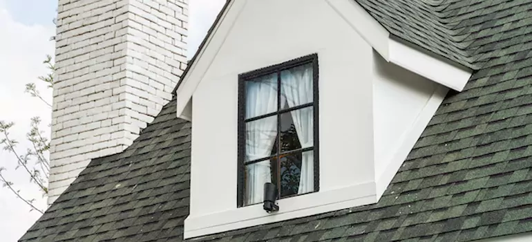 Roof Window Repair in Dunedin, FL