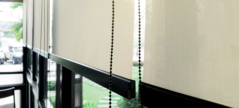 Blackout Window Shades in Dunedin, FL