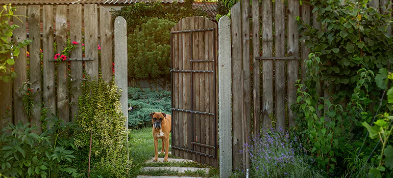 Winter Garden Garage Door Repair in Dunedin,[location field=state]