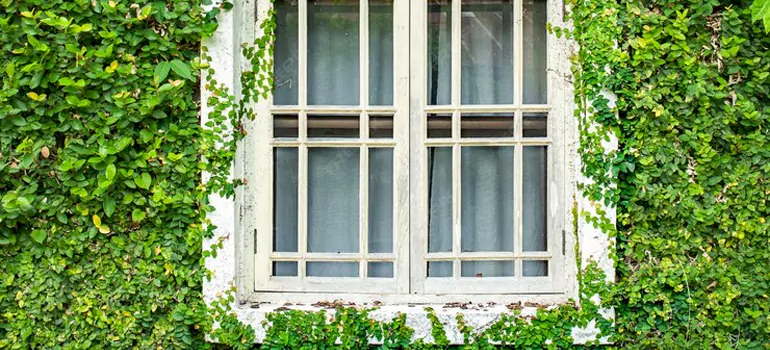 Garden Window Repair Near Me in Dunedin, FL