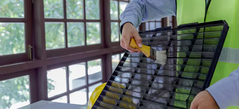 Traditional Window Grille Installation Options in Dunedin, FL