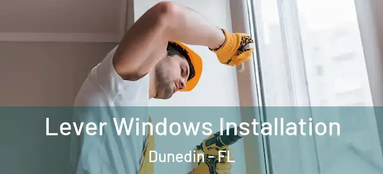  Lever Windows Installation Dunedin - FL