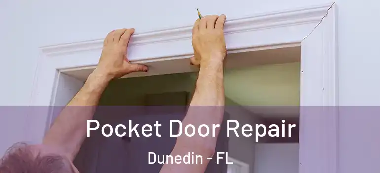 Pocket Door Repair Dunedin - FL