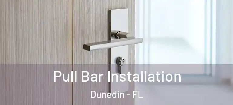  Pull Bar Installation Dunedin - FL