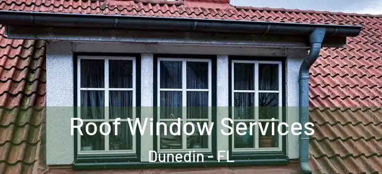  Roof Window Services Dunedin - FL