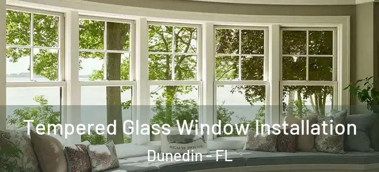  Tempered Glass Window Installation Dunedin - FL