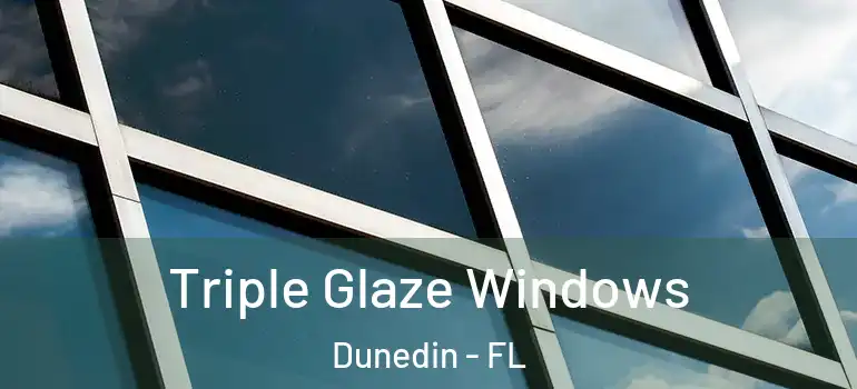 Triple Glaze Windows Dunedin - FL