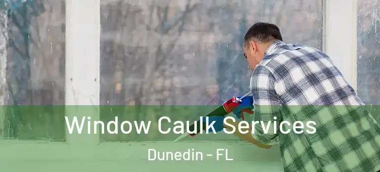 Window Caulk Services Dunedin - FL