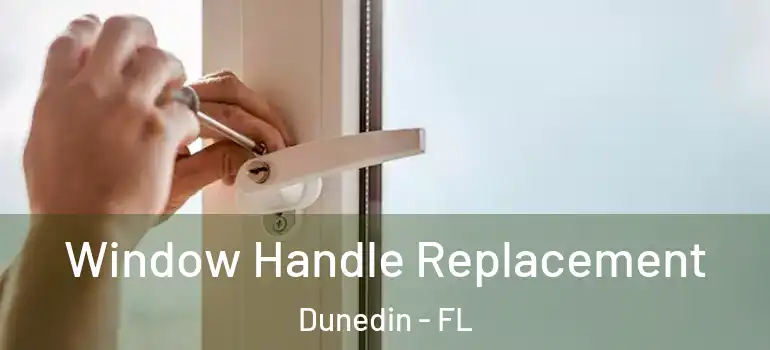 Window Handle Replacement Dunedin - FL