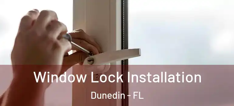  Window Lock Installation Dunedin - FL
