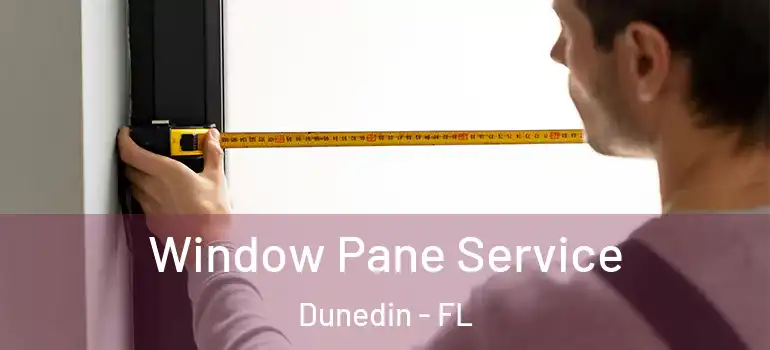 Window Pane Service Dunedin - FL