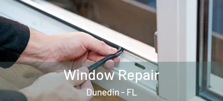  Window Repair Dunedin - FL