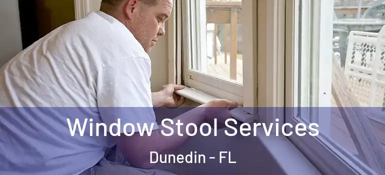 Window Stool Services Dunedin - FL